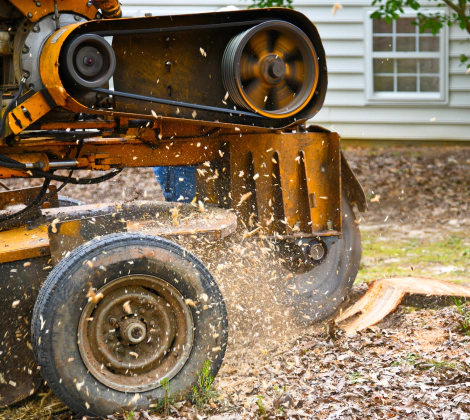 stump grinding service slider
