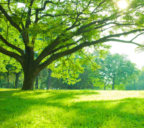 grade correction service slider