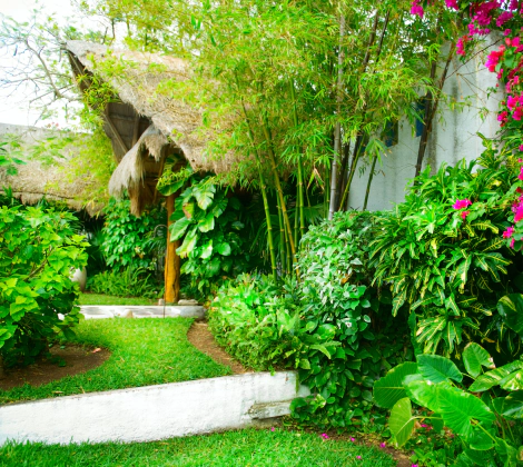 landscape maintenance service slider