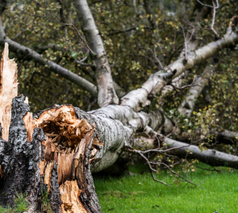 emergency storm relief service slider