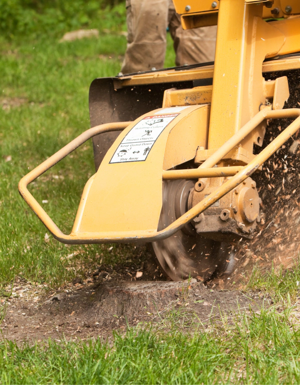 stump grinding web